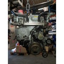 Moteur NP300 (D22SS)(01/08/2010 - 01/10/2015) 2.5 dCi 16V Pickup double cabine 4WD 133 cv