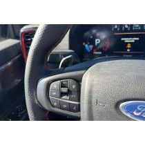 FORD RANGER RAPTOR 2.0 210 E-AWD BVA10